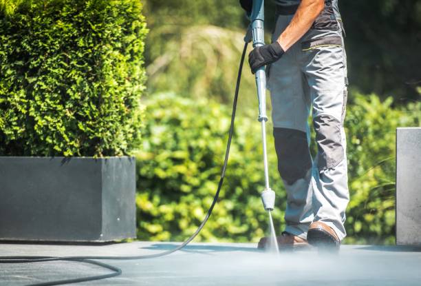 Best Dumpster Area Cleaning  in Lockney, TX