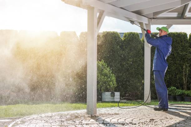 Best Driveway Pressure Washing  in Lockney, TX