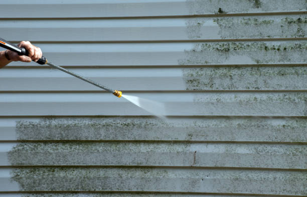 Best Gutter Cleaning  in Lockney, TX