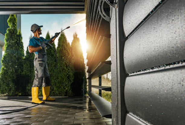 Animal Enclosure Cleaning in Lockney, TX